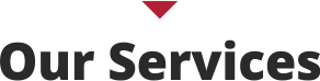 Our_Services